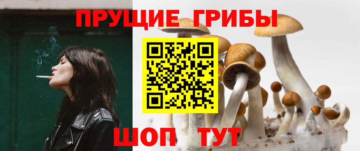 Галлюциногенные грибы прущие грибы  Вход с VPN  Новосибирск 